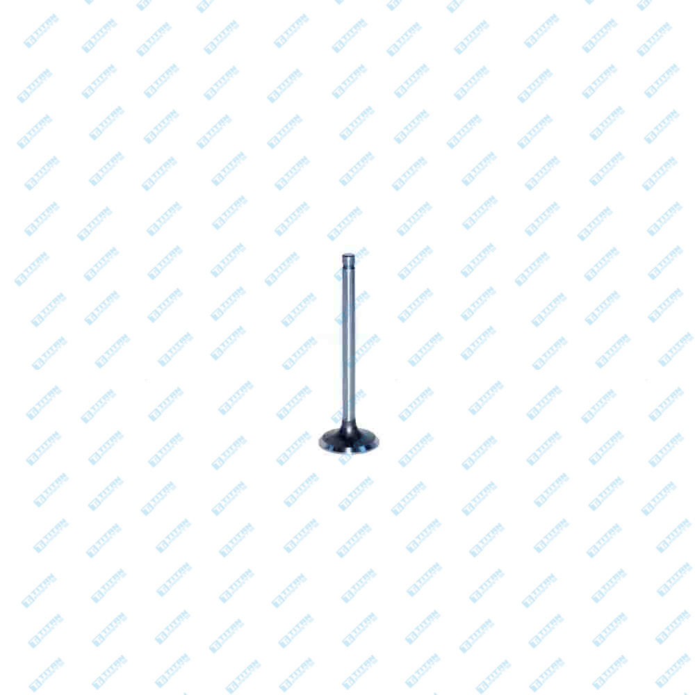 Engine Valves FORD