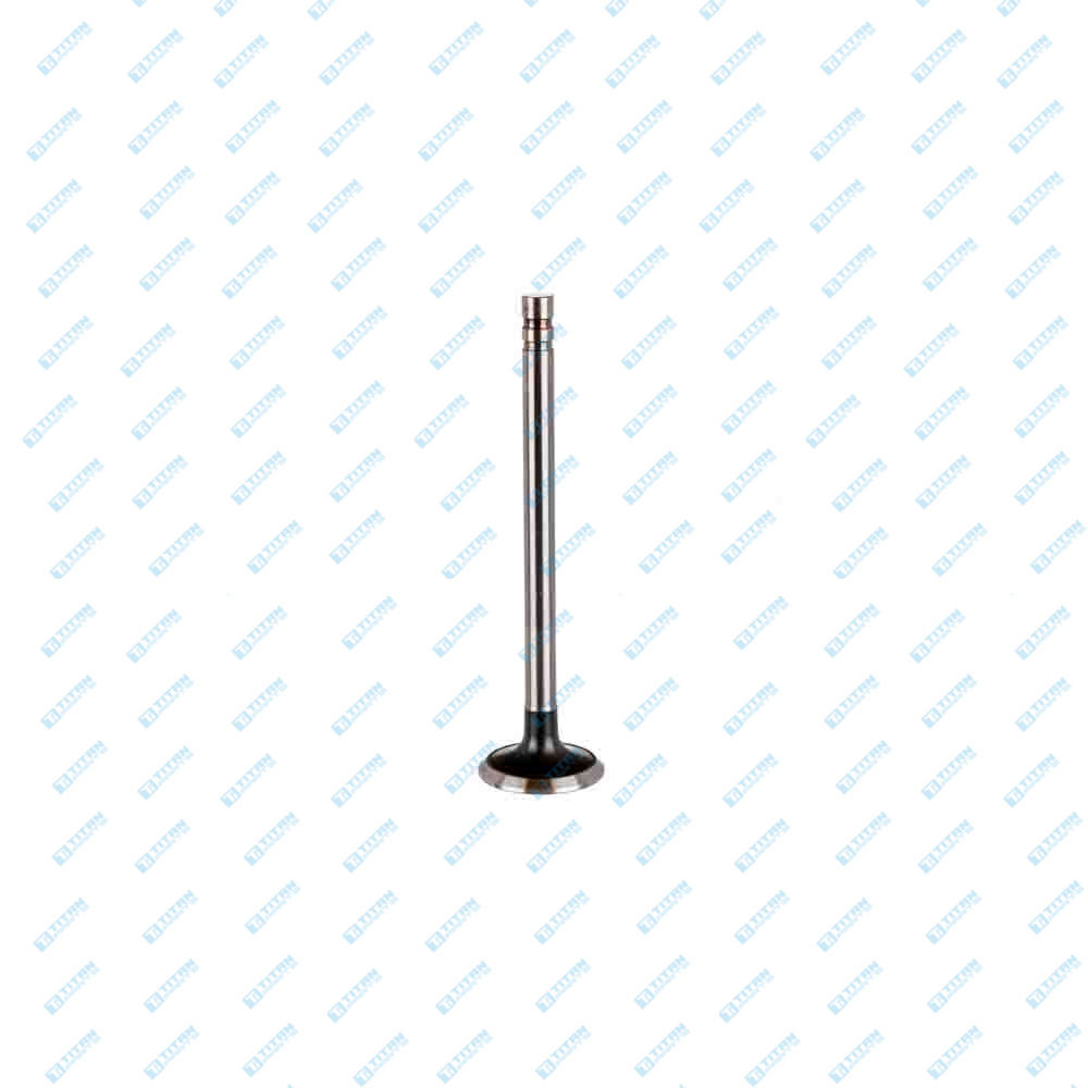 Engine Valves FORD