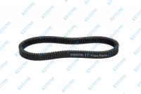R568198  Belt