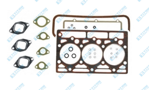 Engine Gaskets CASE - IH