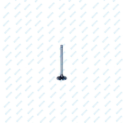 Engine Valves FORD