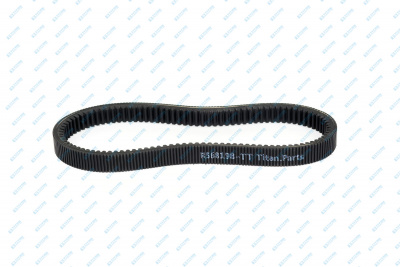 R568198  Belt
