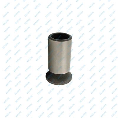 Engine Valves FORD