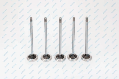Exhaust Valve Std JOHN DEERE