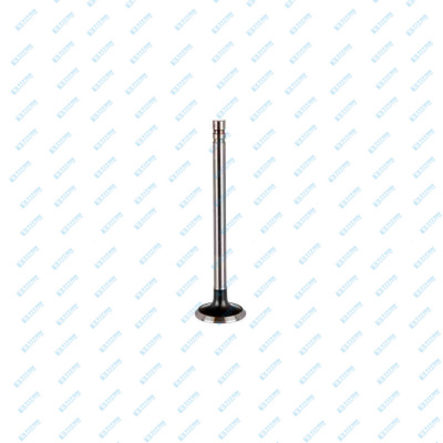 Engine Valves FORD