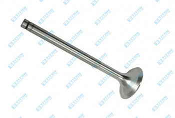 Engine Valves CASE - IH