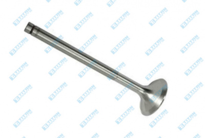 Engine Valves CASE - IH